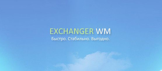 Exchanger WM